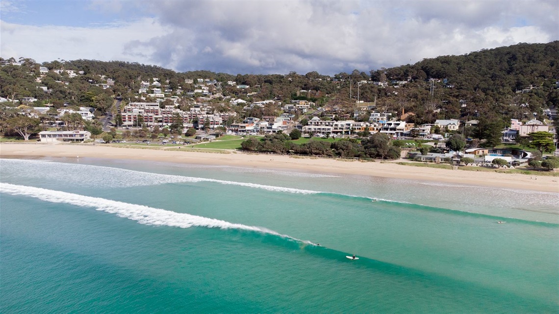 Surf16.Lorne.jpg