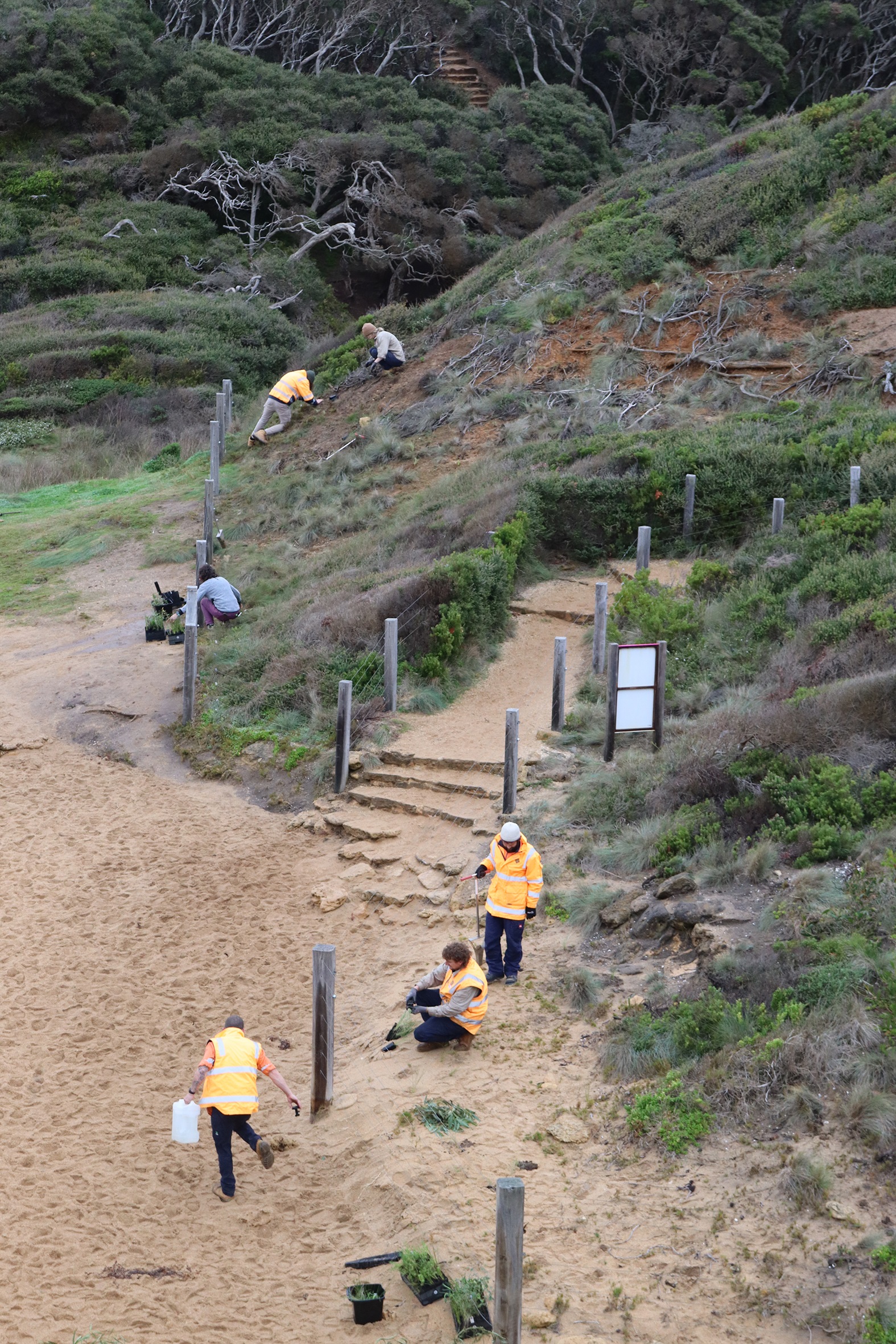 NRM team planting 2.JPG