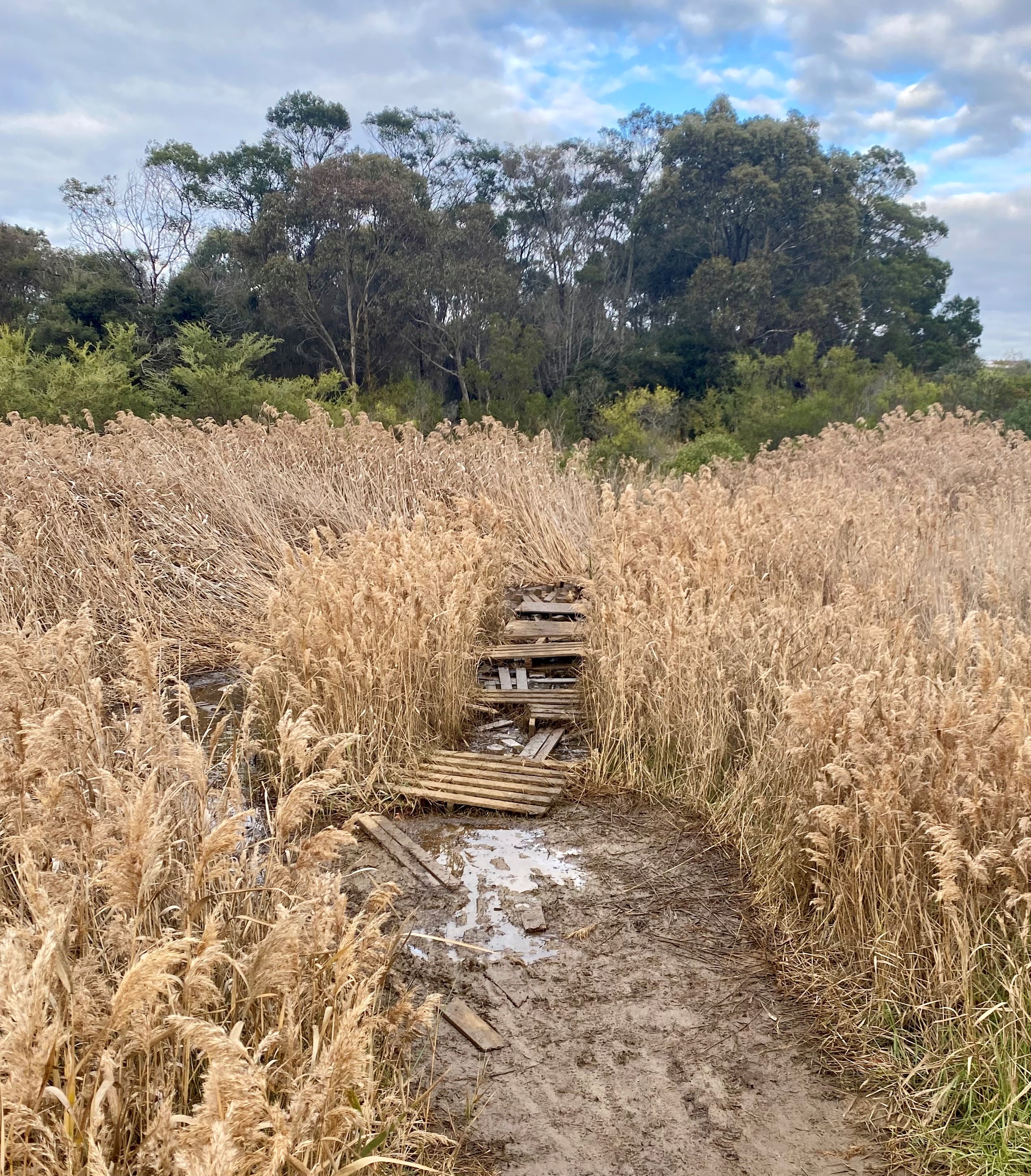 The previous makeshift pallet bridge