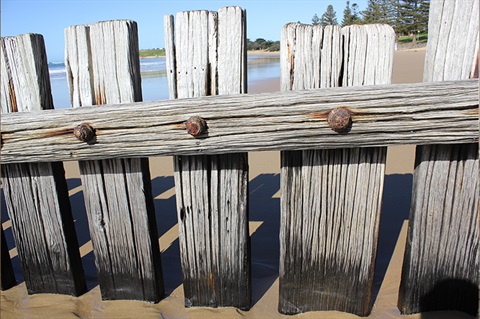 Beach fence