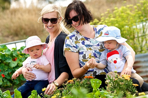 Women and babies in veggie patch