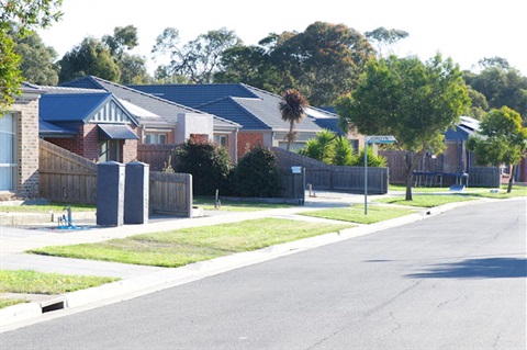 Suburban street