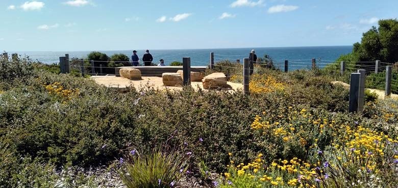 Seating-lookout-at-Bells-Beach.jpg