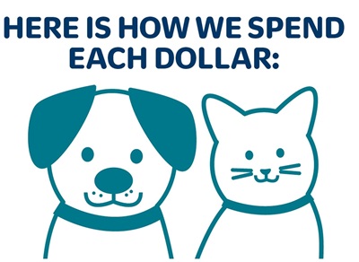 Here is how we spend each dollar