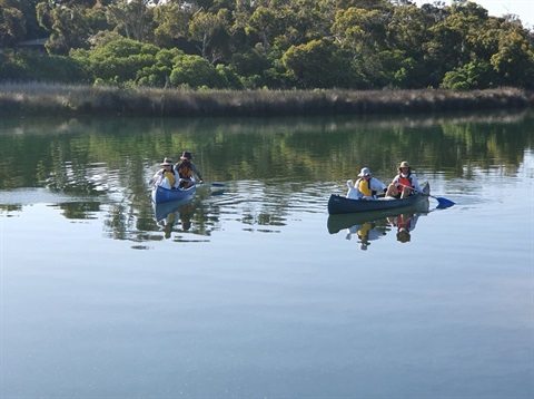 mozzie treatment anglesea.jpg