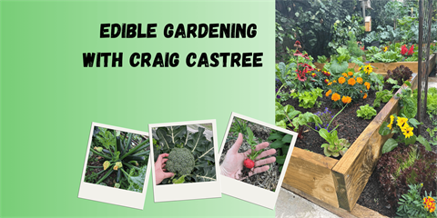 craig castree banners.png